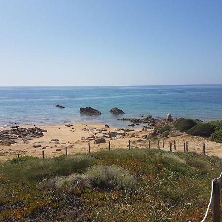 Terrazze Al Mare Apartamento Torre dei Corsari Exterior foto